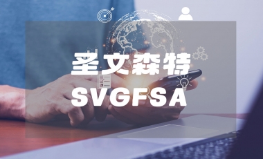 圣文森特SVGFSA牌照